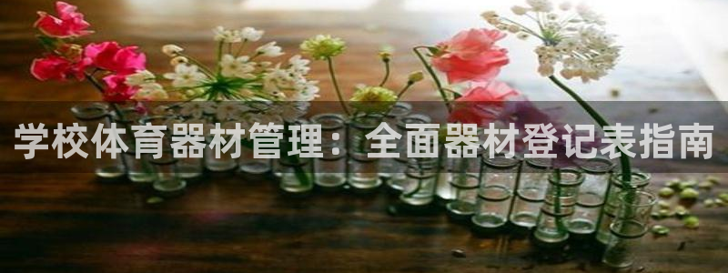 尊龙人生就是博旧：学校体育器材管理：全面器材登记表指