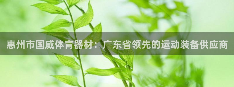 凯时尊龙平台登录：惠州市国威体育器材：广东省领先的运